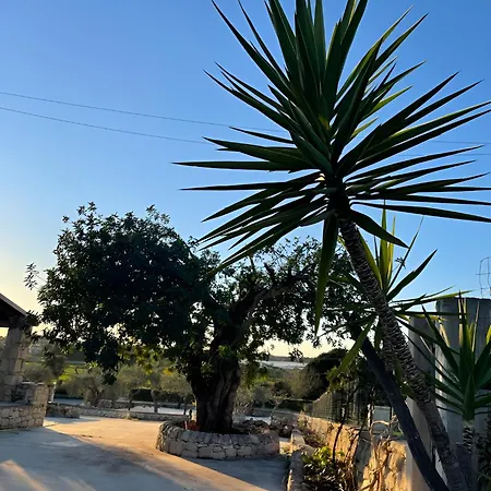 Farfalla Blu ポッツァッロ