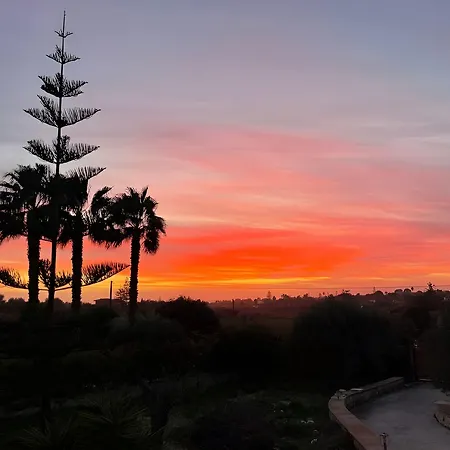 Farfalla Blu ポッツァッロ