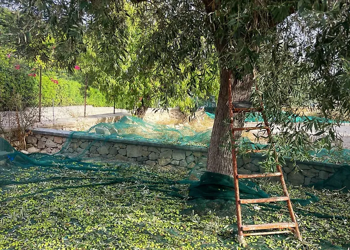 Farfalla Blu Pozzallo