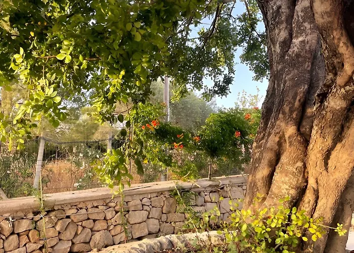 Bed & Breakfast Farfalla Blu