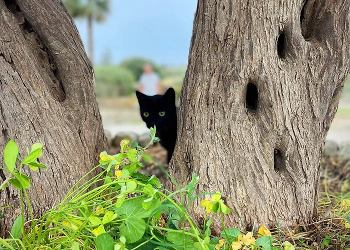 Farfalla Blu 4* Pozzallo