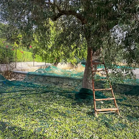 Farfalla Blu Bed & Breakfast