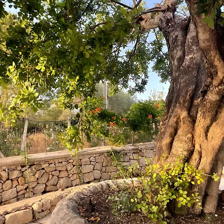 Bed & Breakfast Farfalla Blu