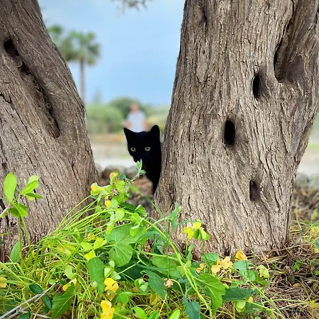 Farfalla Blu 4* Pozzallo