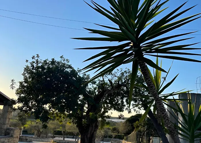 Farfalla Blu 波扎洛