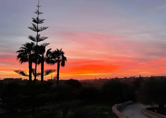 Farfalla Blu 波扎洛